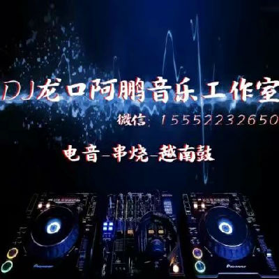 DJ龙口阿鹏